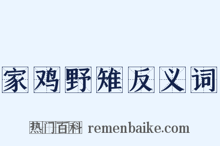家鸡野雉反义词是什么意思的图片